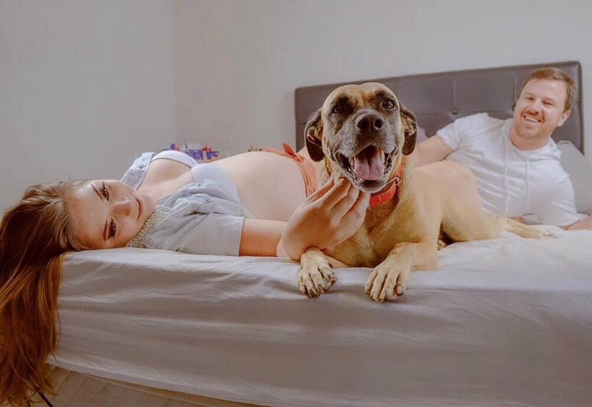 Девушка с собакой в кровати. Девушка беременна от собаки. Девушка забеременела от собаки.