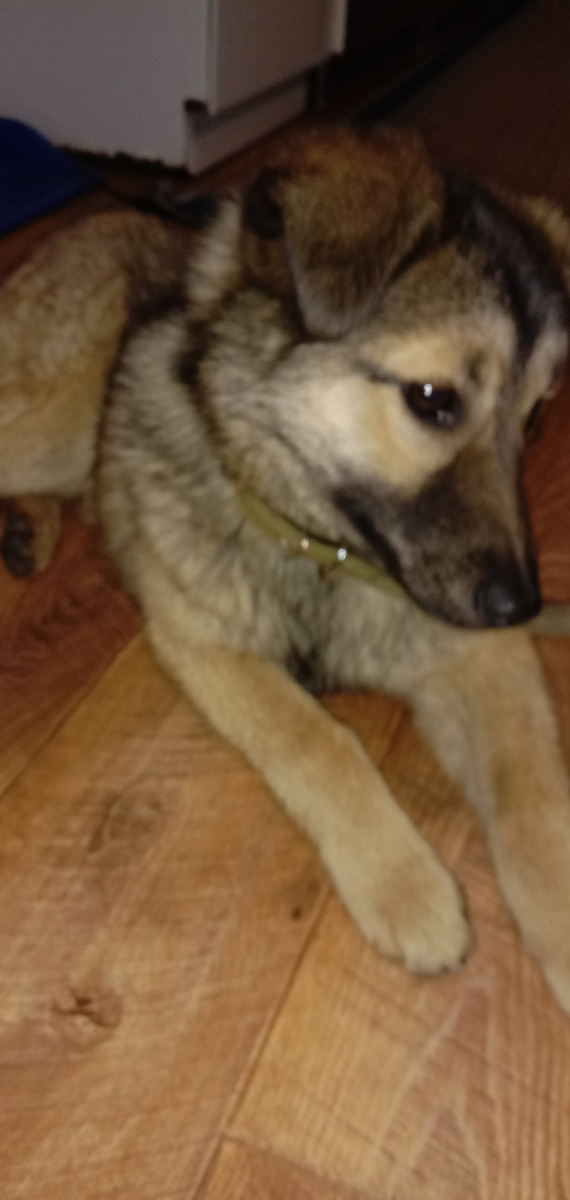 Первый день знакомства.