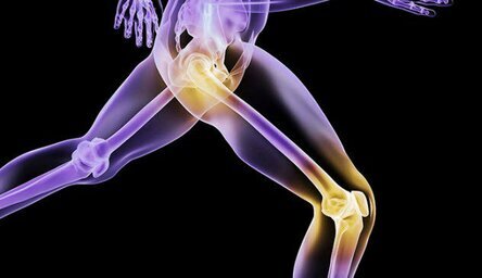 Технологии замены суставов и костей прошли долгий путь за последние десятилетия, части на пластиковой и керамической основе взяли верх над металлическими частями, а новейшее поколение искусственных костей и суставов заходит еще дальше: их будут делать из биоматериалов, чтобы они практически слились с телом.