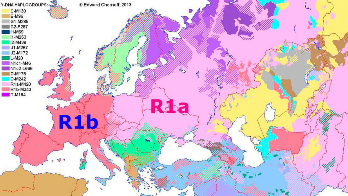 Генетически близкие народы. Гаплогруппы r1a народов. Гаплогруппа карта Европы. Гаплогруппа славян r1a1.