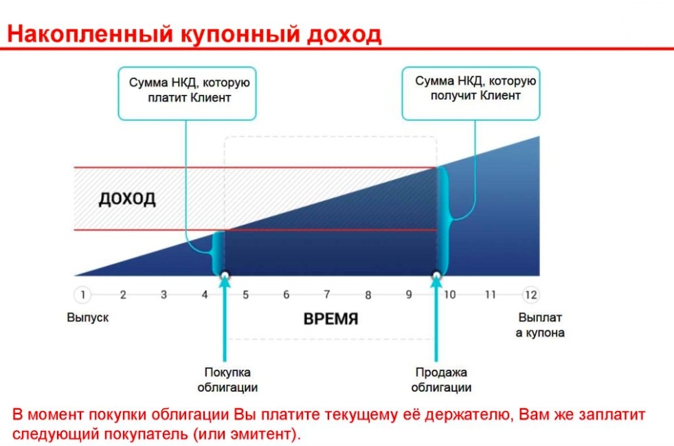 взято из открытых источников 