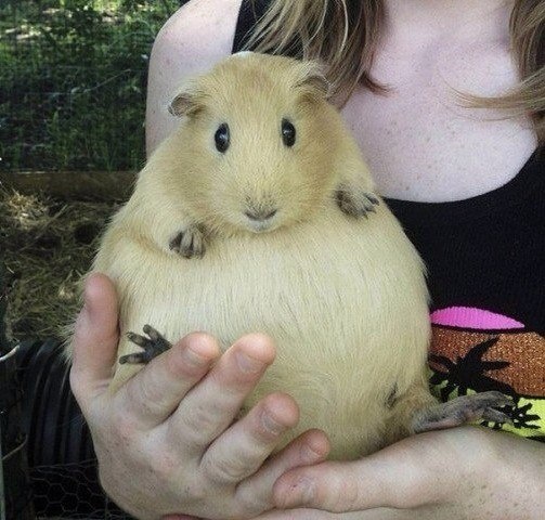 сама в шоке