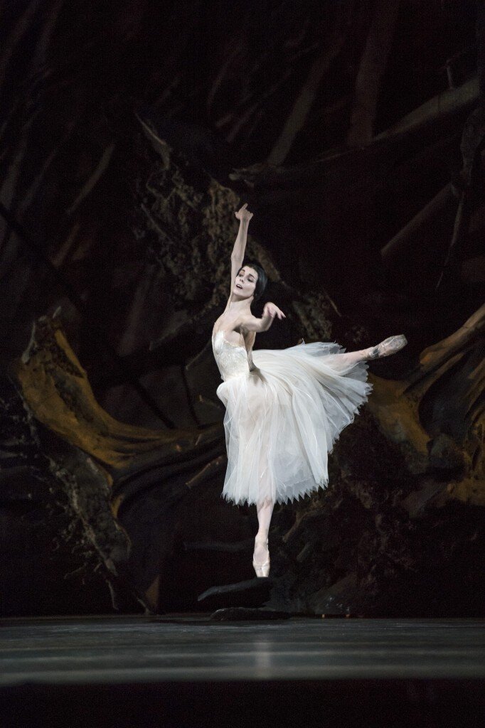     .   ROH, 2014.   