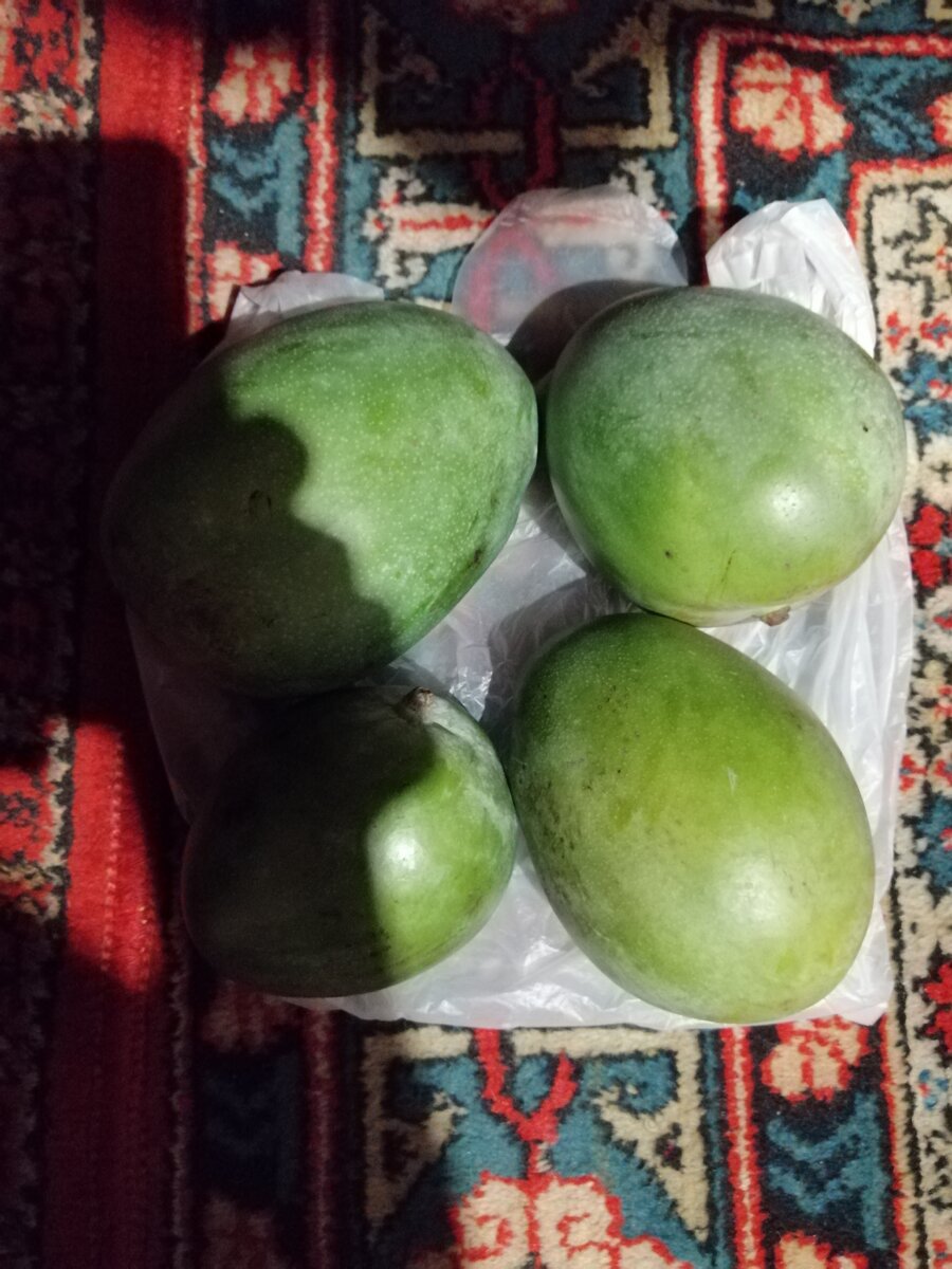 Какой-то зелёный сорт манго, произрастающий в Египте