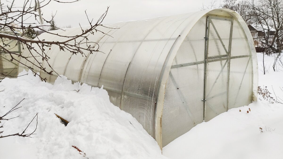 Теплица очищена от снега
