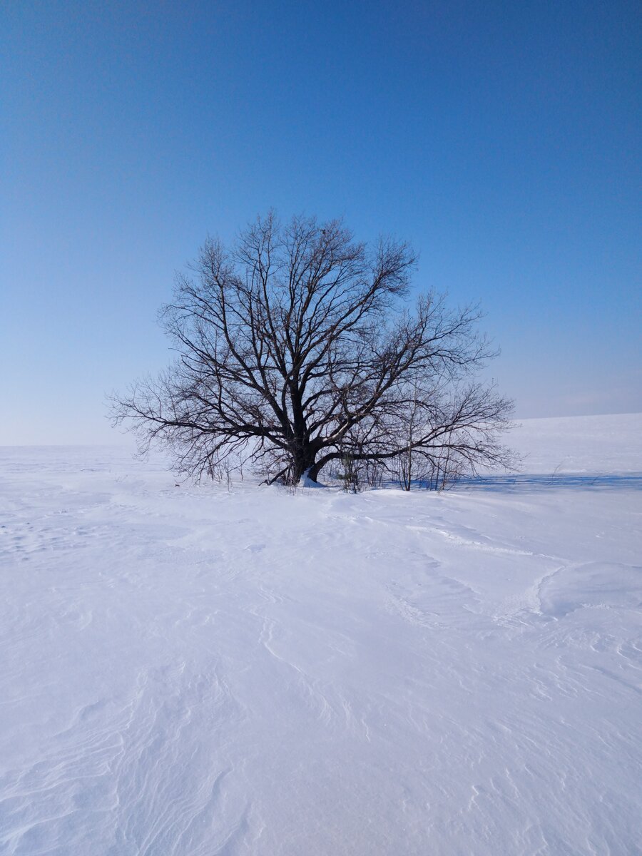 Как же красив зимний пейзаж