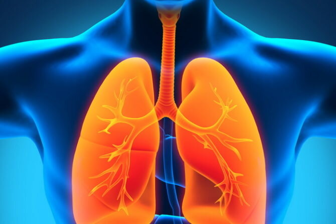 Осознав преимущества здорового образа жизни, многие убирают из рациона вредные продукты и начинают заниматься активным спортом. Одной из проблем, встречающихся наиболее часто, является недостаточный объем легких, из-за чего человек чувствует себя вымотанным и обессиленным уже через несколько минут тренировки. Хотите добиться успеха в спорте и улучшить здоровье? Займитесь увеличением объема легких. Облегчит это жизнь астматикам и аллергикам, а также людям, недавно бросившим курить.