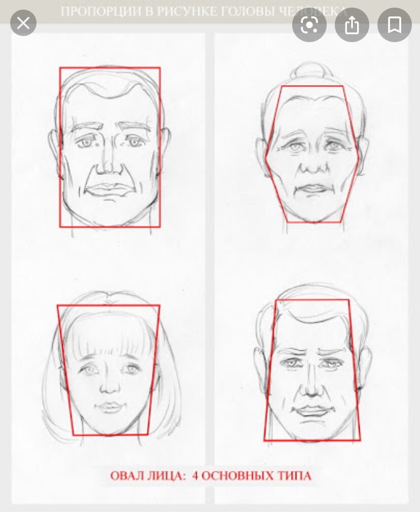 Строю какое лицо. Лицо человека рисунок схема. Пропорции лица человека для рисования. Этапы рисования портрета. Поэтапное рисование лица.