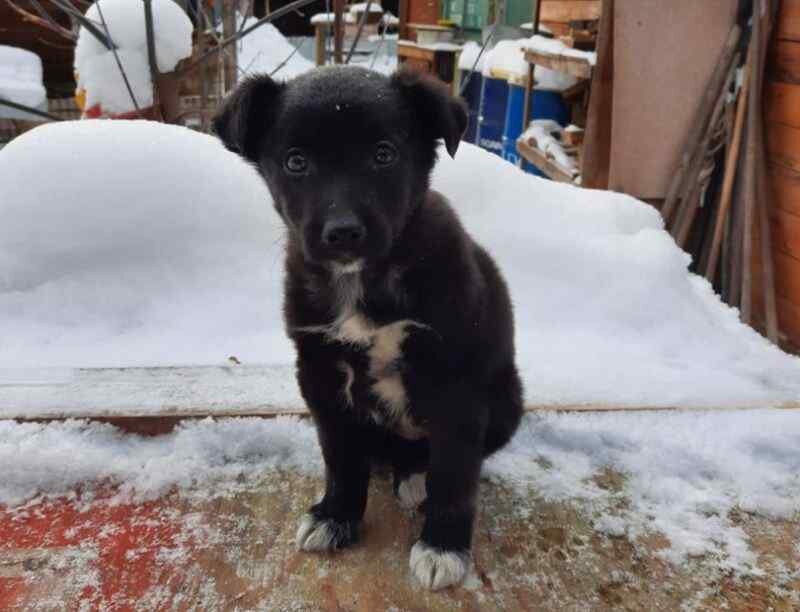 Фото с сайта https://ndn.info