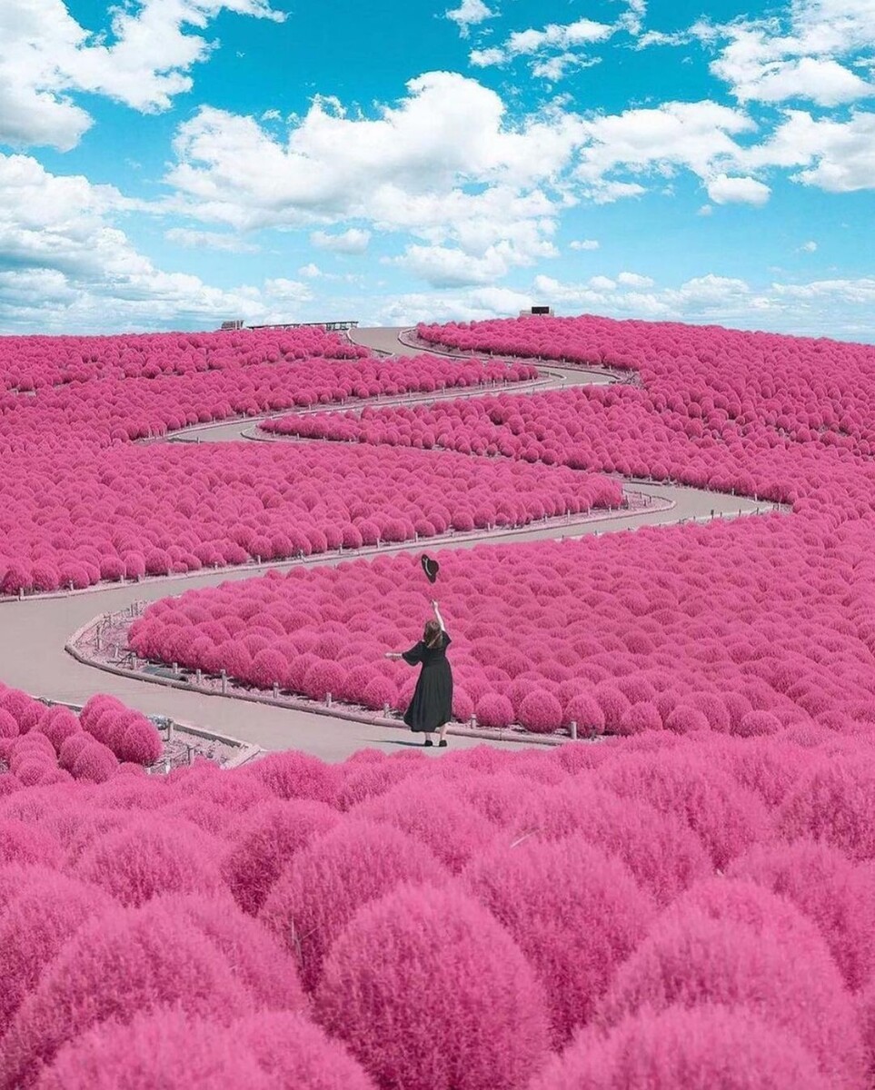 Фото https://www.instagram.com/p/CL_RXA7he9N/
