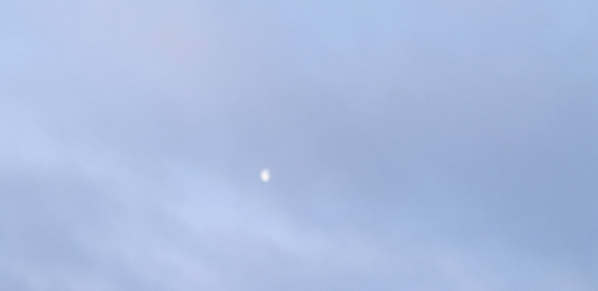 Личное фото автора.