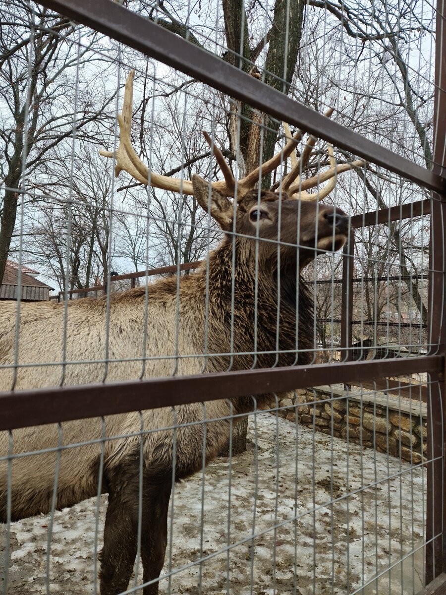 Все фото из личного архива