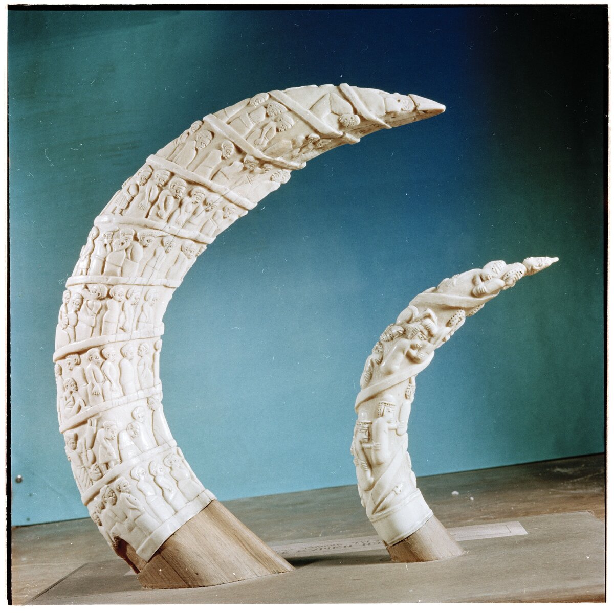 Наш музей и палеонтологический и краеведческий. Хорошо, когда одно пересекается с другим.