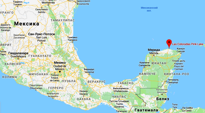 Фото из открытого источника