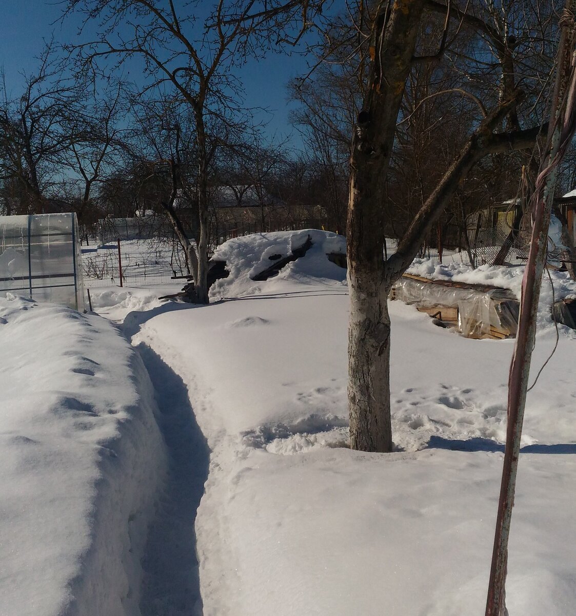 Снежная зима в этом году выдалась...