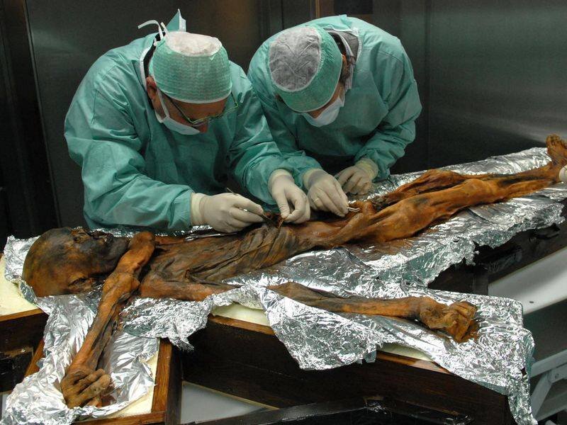 30 лет назад - 19 сентября 1991 года - в Альпах была случайно обнаружена самая древняя мумия Европы. Ее нашли два немецких туриста-альпиниста, супруги по фамилии Симон, и сообщили куда следует.-5
