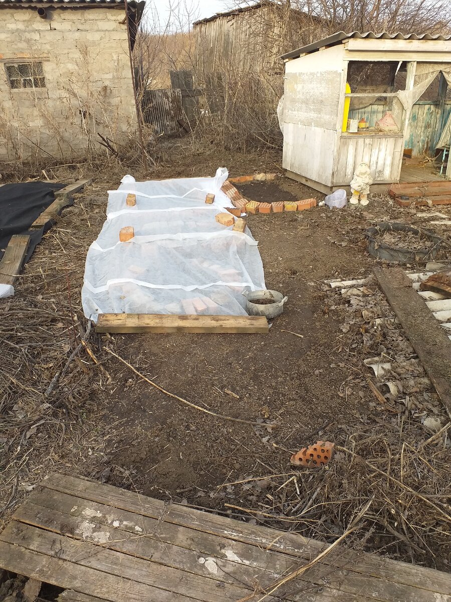 Из личного архива