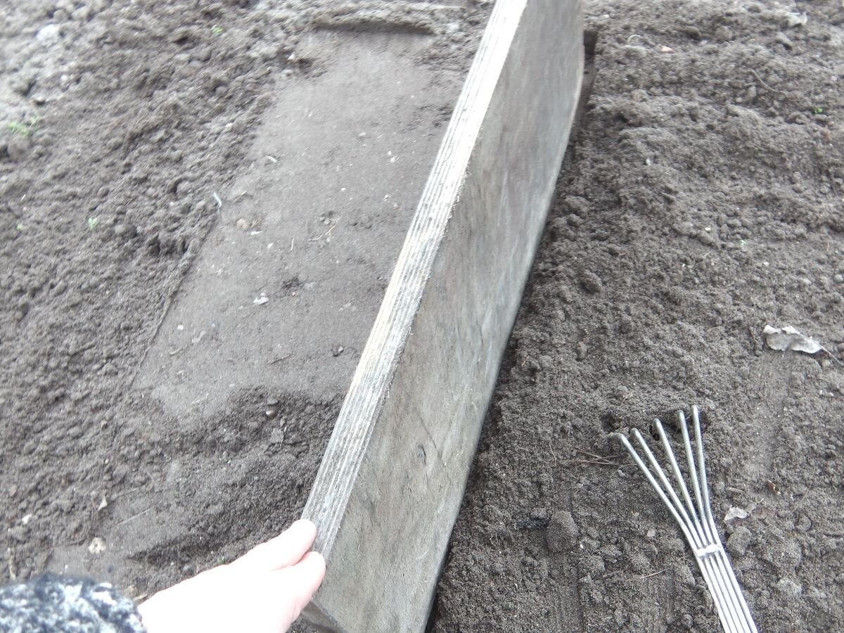 Посев с доской. Фото автора