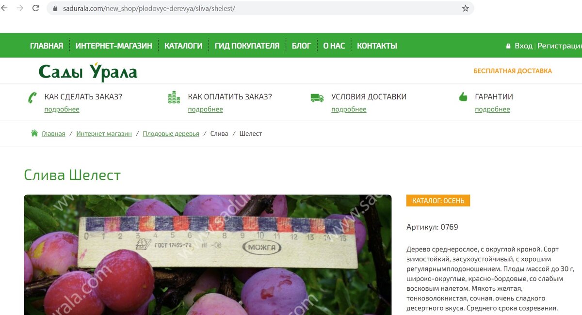 Сады урала отзывы. Сады Урала. Фирма Уральский огород каталог саженцев. Сады Урала Артёмовский питомник. Сады Урала каталог 2023