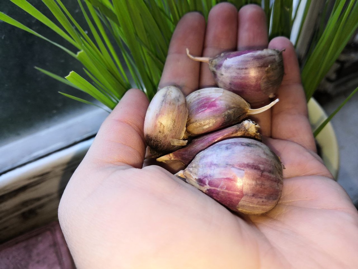 То, что осталось после долгой зимы