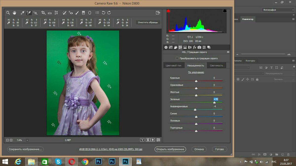 Используем инструмент цветовой эталон в плагине Camera raw.
