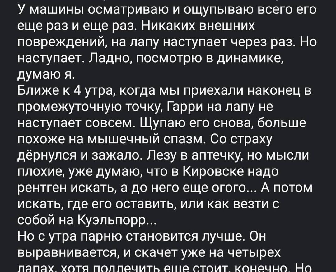 Продолжение в 🎠 ⏩⏩⏩