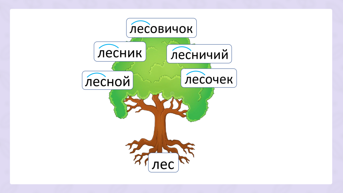 Дерево родственных слов. Корни дерева. Однокоренные слова для дошкольников. Слова с корнем лес.