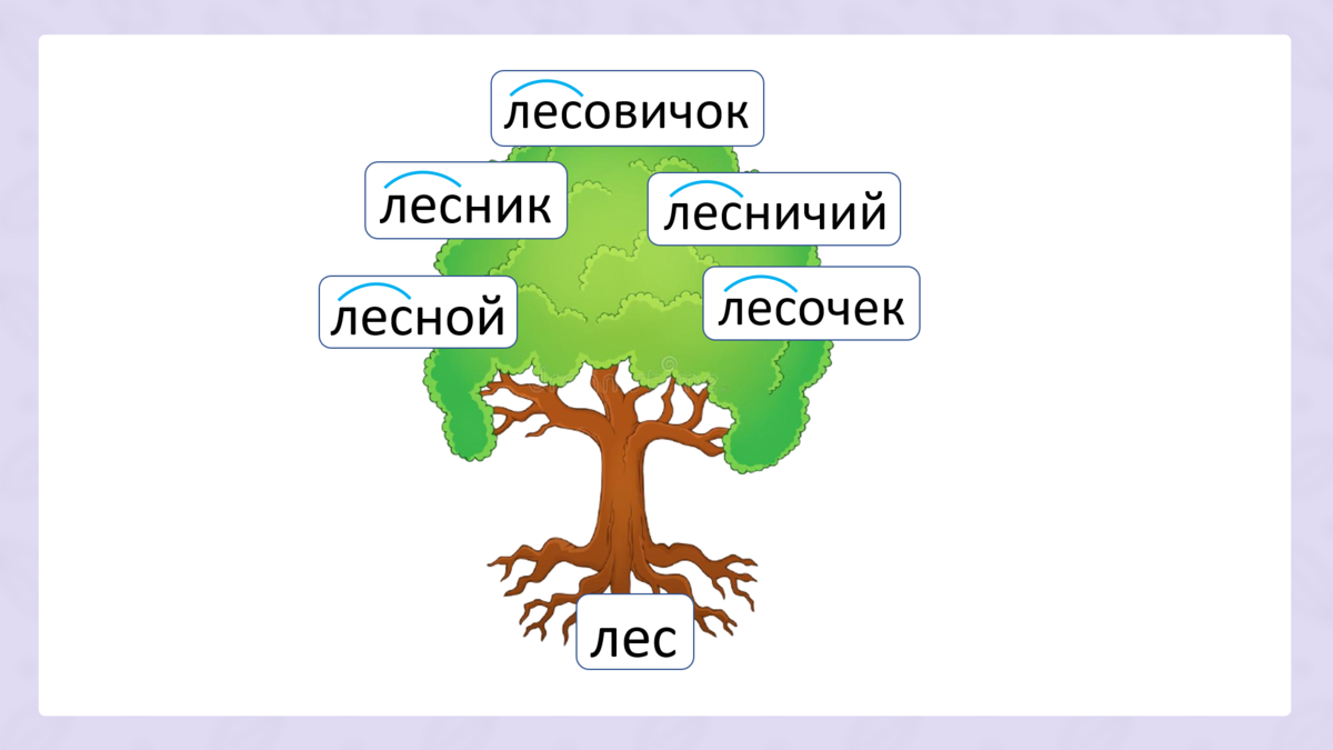 Что такое корень слова. Как найти корень слова? | Ваш Учитель | Дзен