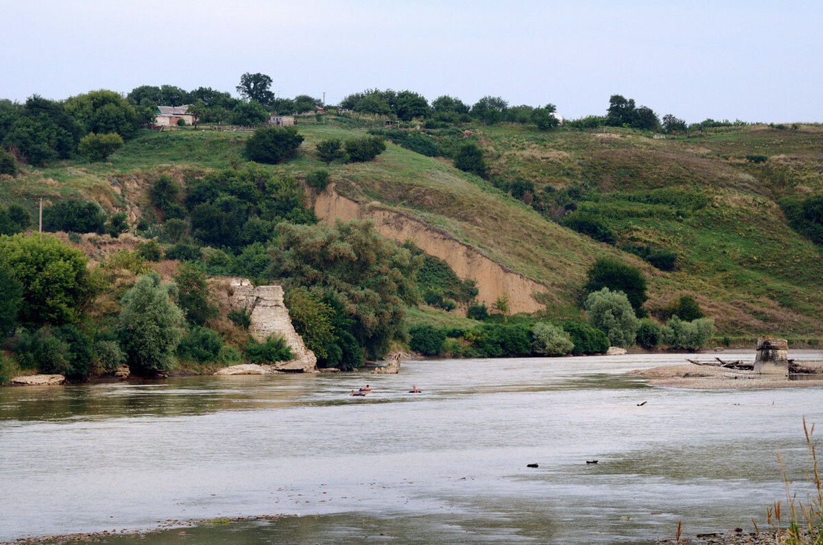 река кубань краснодарский край