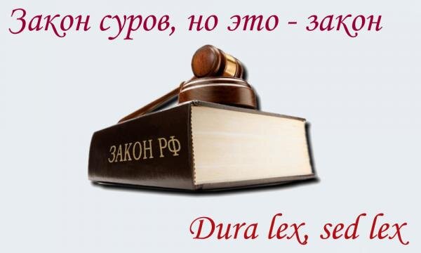 из яндекс картинок