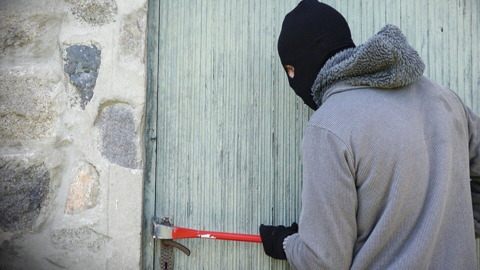 как защитить сад от краж зимой