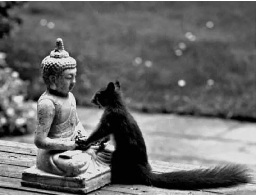 Картинка из поисковой системы Яндекса