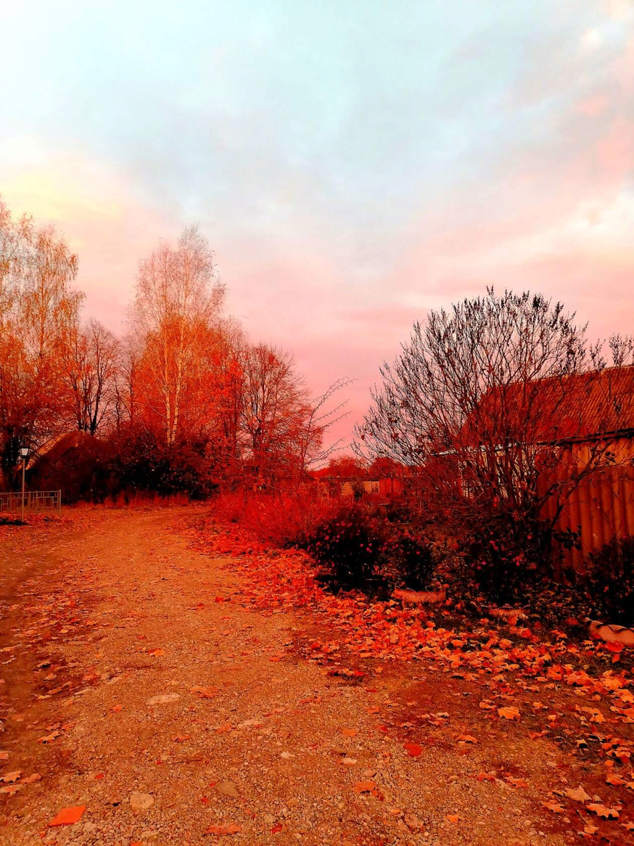 Осеннее утро. Фото автора