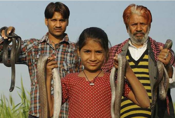 Фото из свободных источников