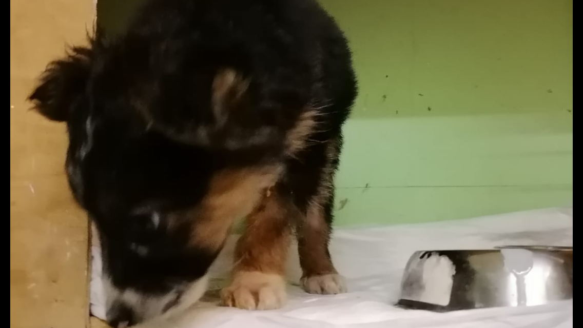 -1-2
