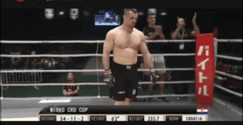 Мирко «Кро Коп» Филлипович