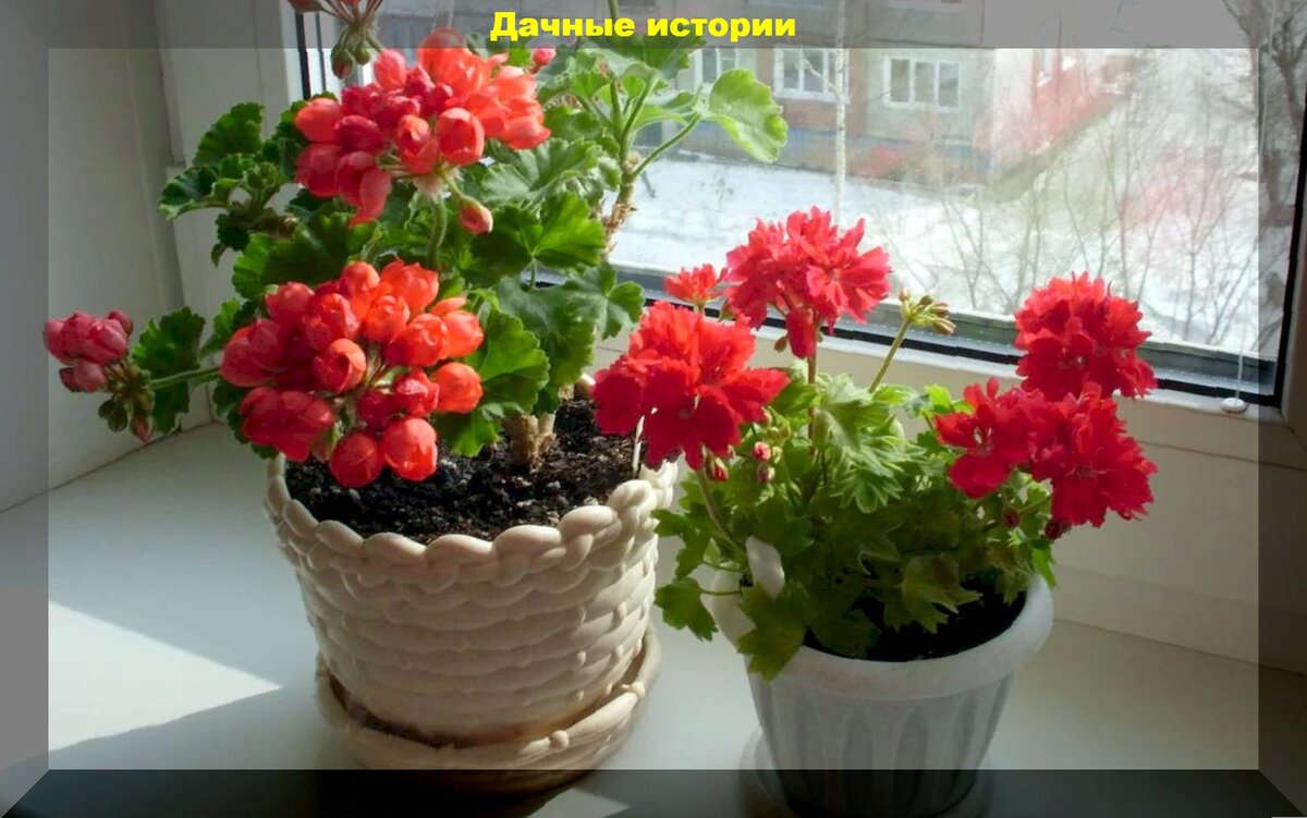 https://vk.com/photo-159774511_457250197