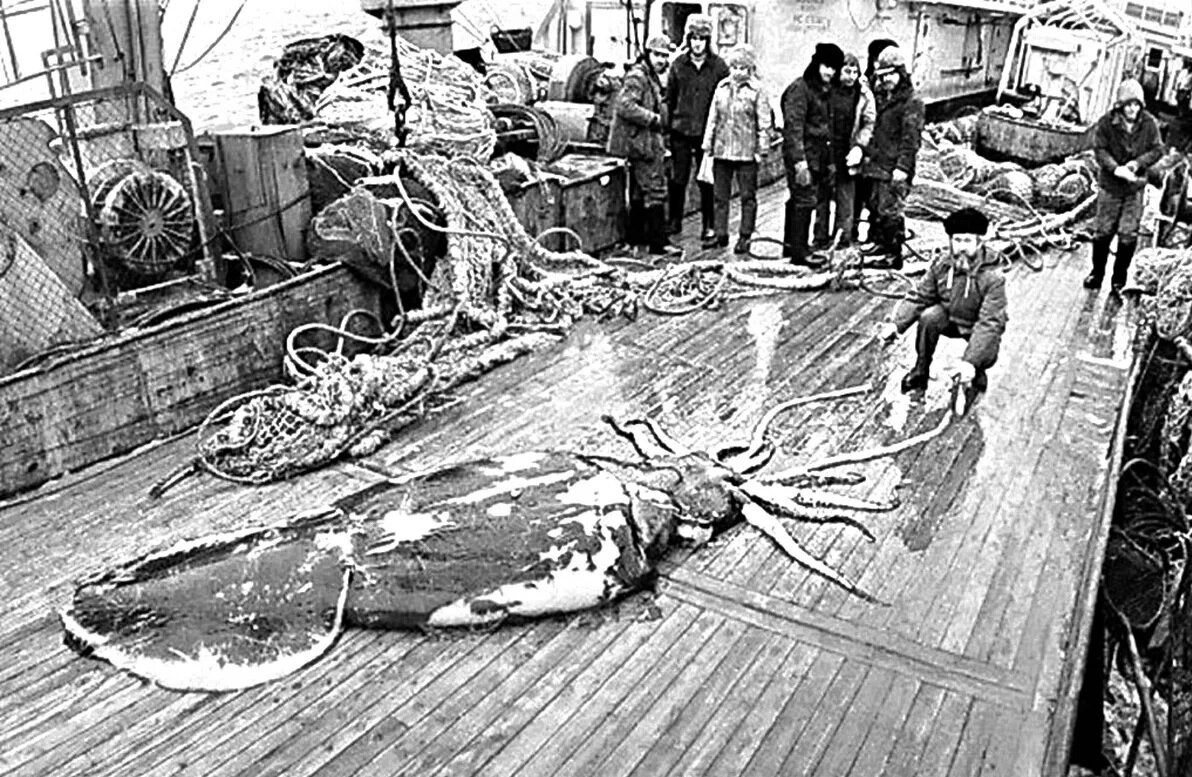 Источник: yandex.ru 