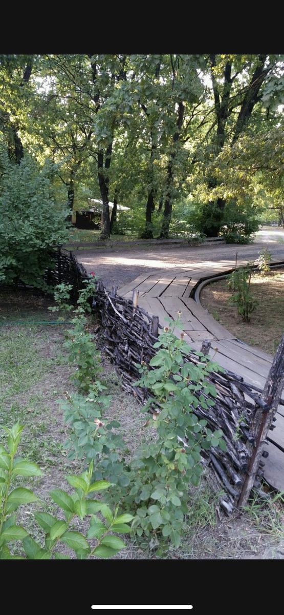 Очень приятная атмосфера и вкусный воздух. Личное фото автора