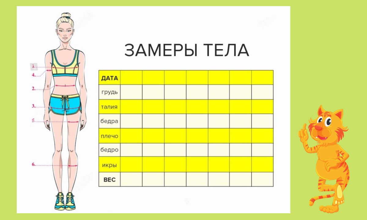 Как правильно сделать замеры тела фото