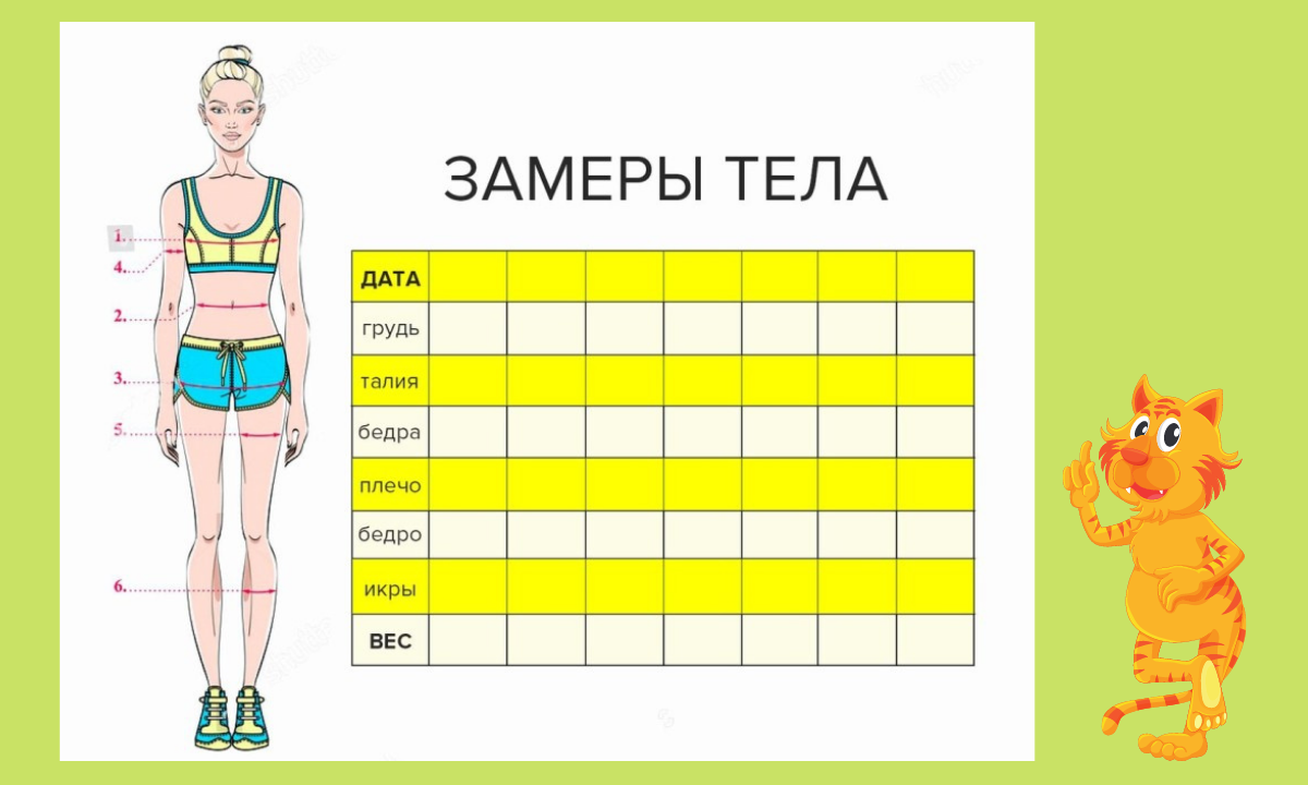 Схема правильного похудения. Таблица для замера объемов тела для похудения. Таблица замеры тела для похудения. Таблица для замеров объемов тела. Замеры тела для похудения женщины.