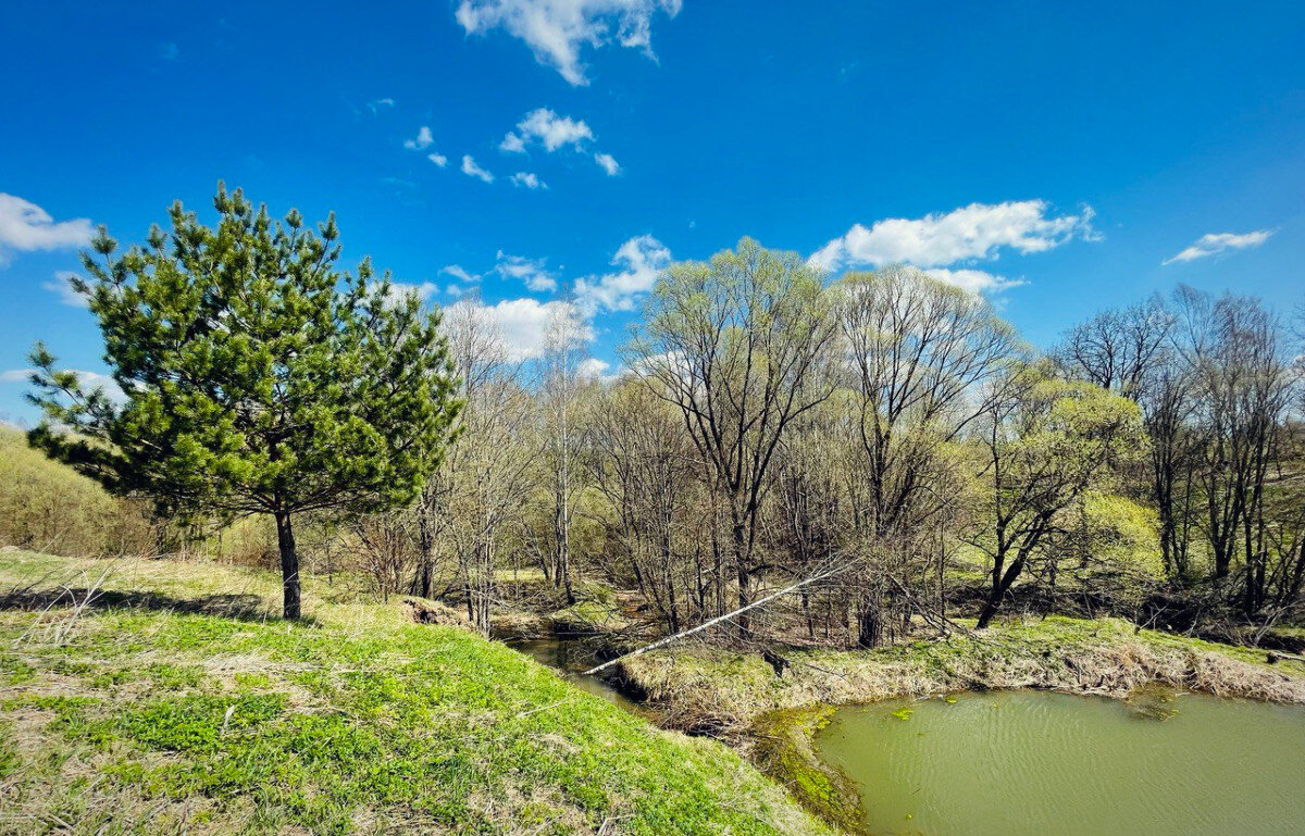 Ручей (в центре внизу) и запруда (справа)