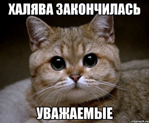 взято из свободных источников