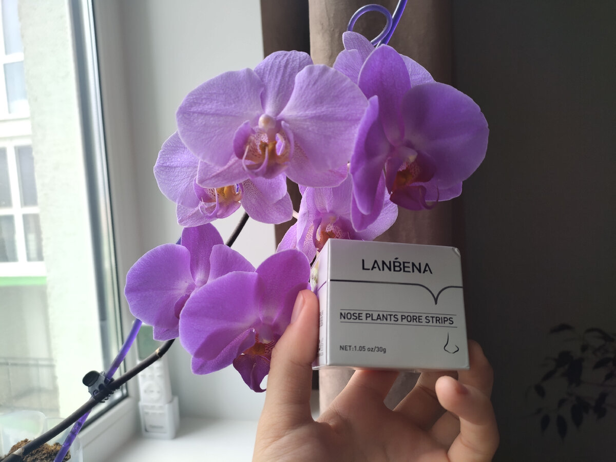 Сама вырастила орхидею из отростка другой, растут уже 8-ой год две и круто цветут. Баночка маски от черных точек в красивой коробочке.