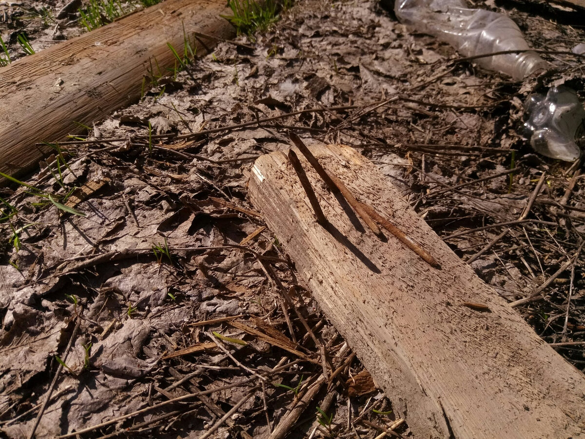 Изображение из открытых источников.