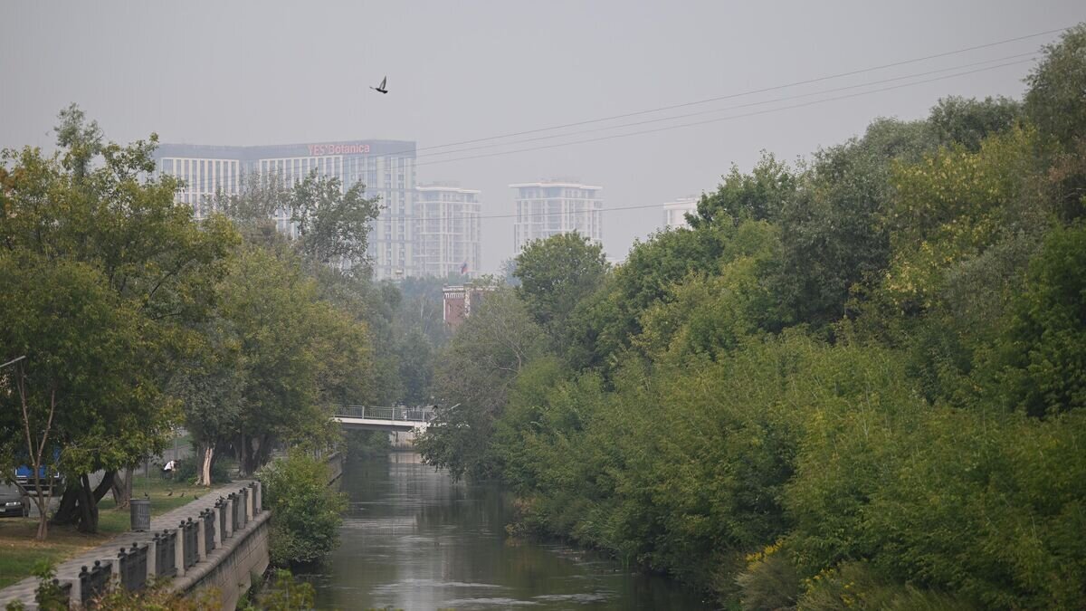    Смог в Москве© РИА Новости / Григорий Сысоев