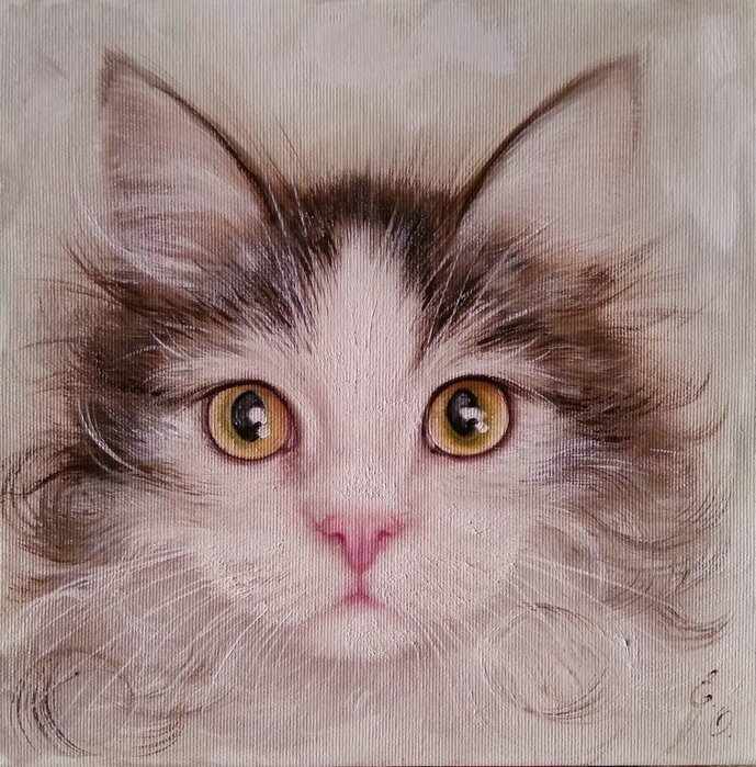 ����� ���������