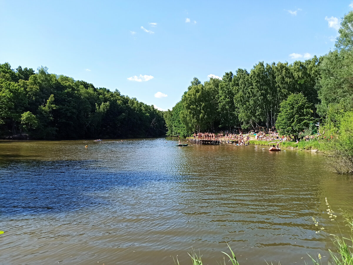 Фото автора. Пруд в лесу рядом с дачей
