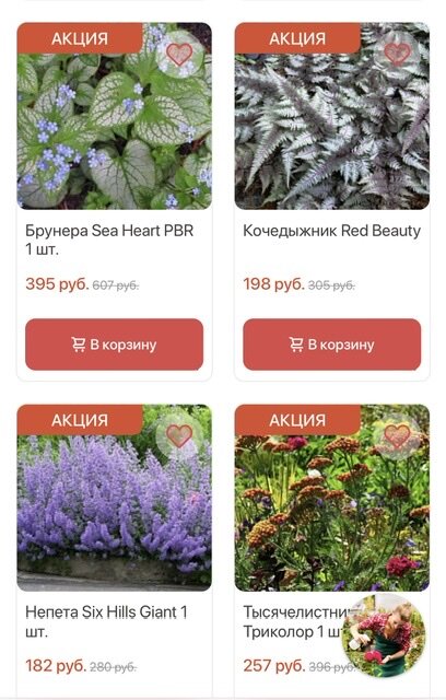 СКРИН САЙТА