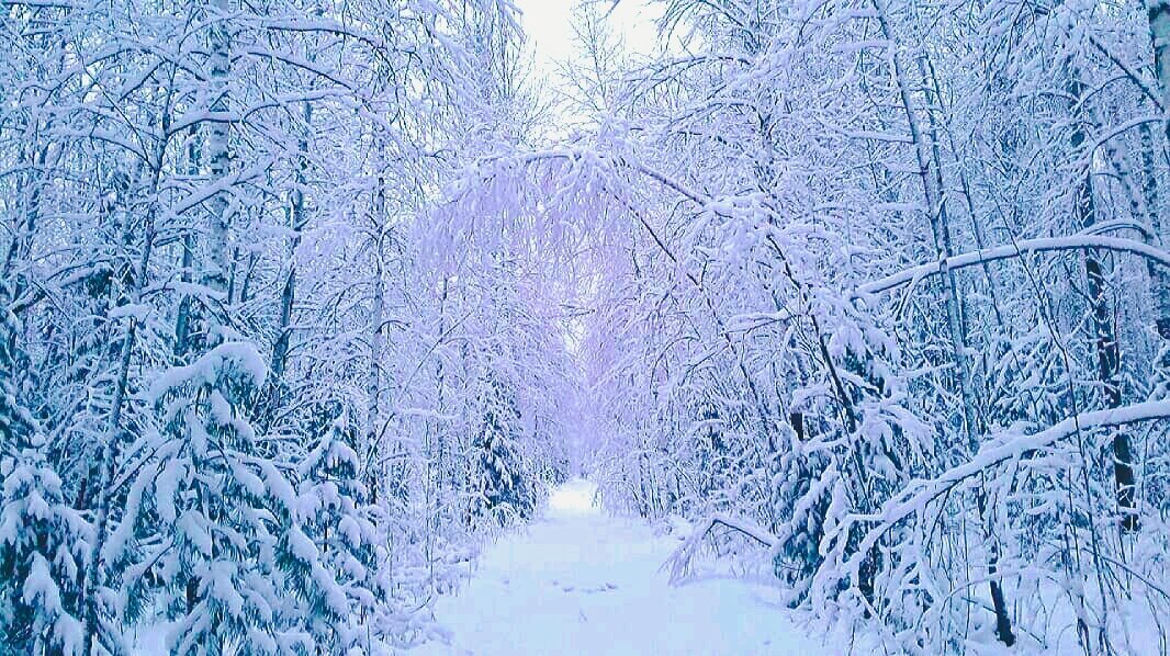 Фото из моего архива